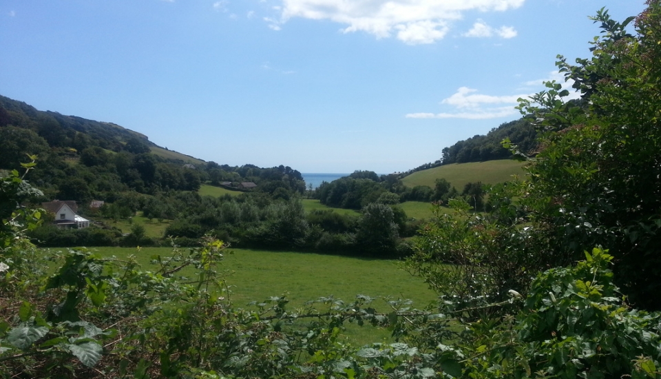 branscombe